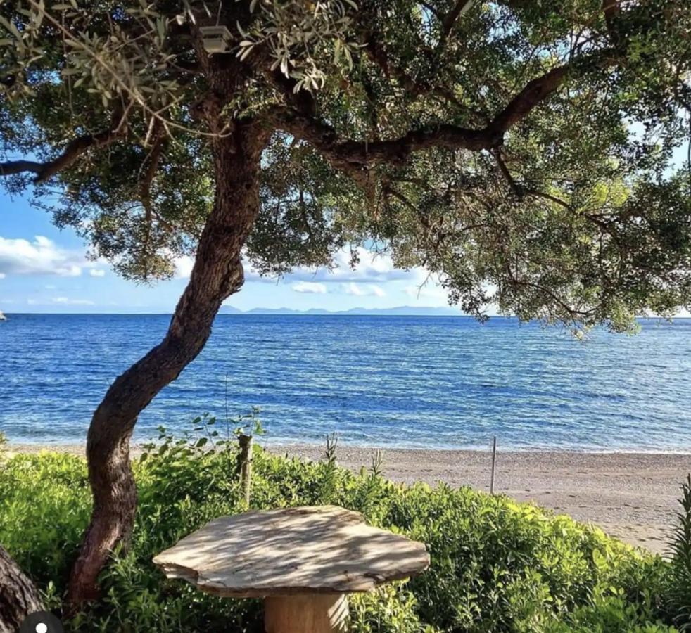 Dadya Villa 1 - Villa With Private Pool - 750M Distance To The Beach Datça Exteriér fotografie